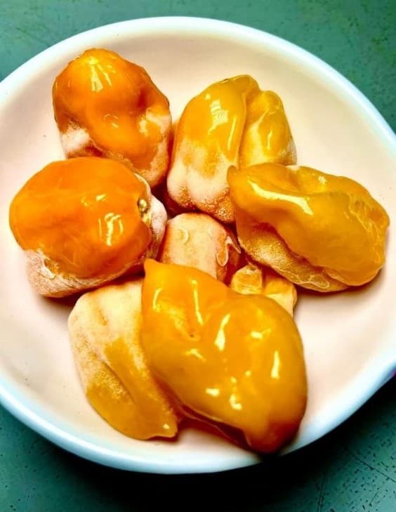 Scotch Bonnet Pepper